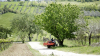 verstellbare vollautomatische Bodenfräse für Traktoren von 35 bis 60 PS, Weinbau, Obstgarten, Seitenverschub