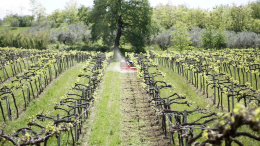 SICMA SHM Schwere verstellbare Bodenfräse für Traktor von 35 bis 60 PS, Weinbau, Obstgarten, Seitenverschub